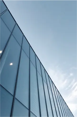 Our Vision